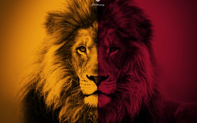 澳队体育精华-内马尔与家人共度时光